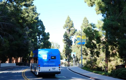 A BruinBus drives up the shady Charles E. Young Dr. 