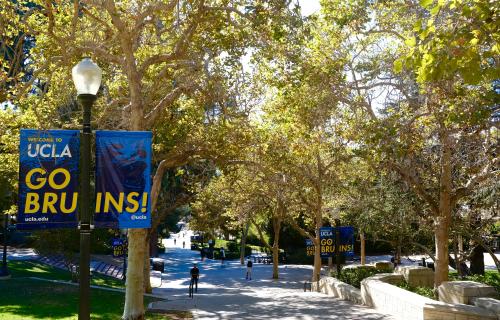 Looking down the tree-lined, people-dotted Bruin Walk. A lamppost banner reads “Welcome to UCLA: Go Bruins!”