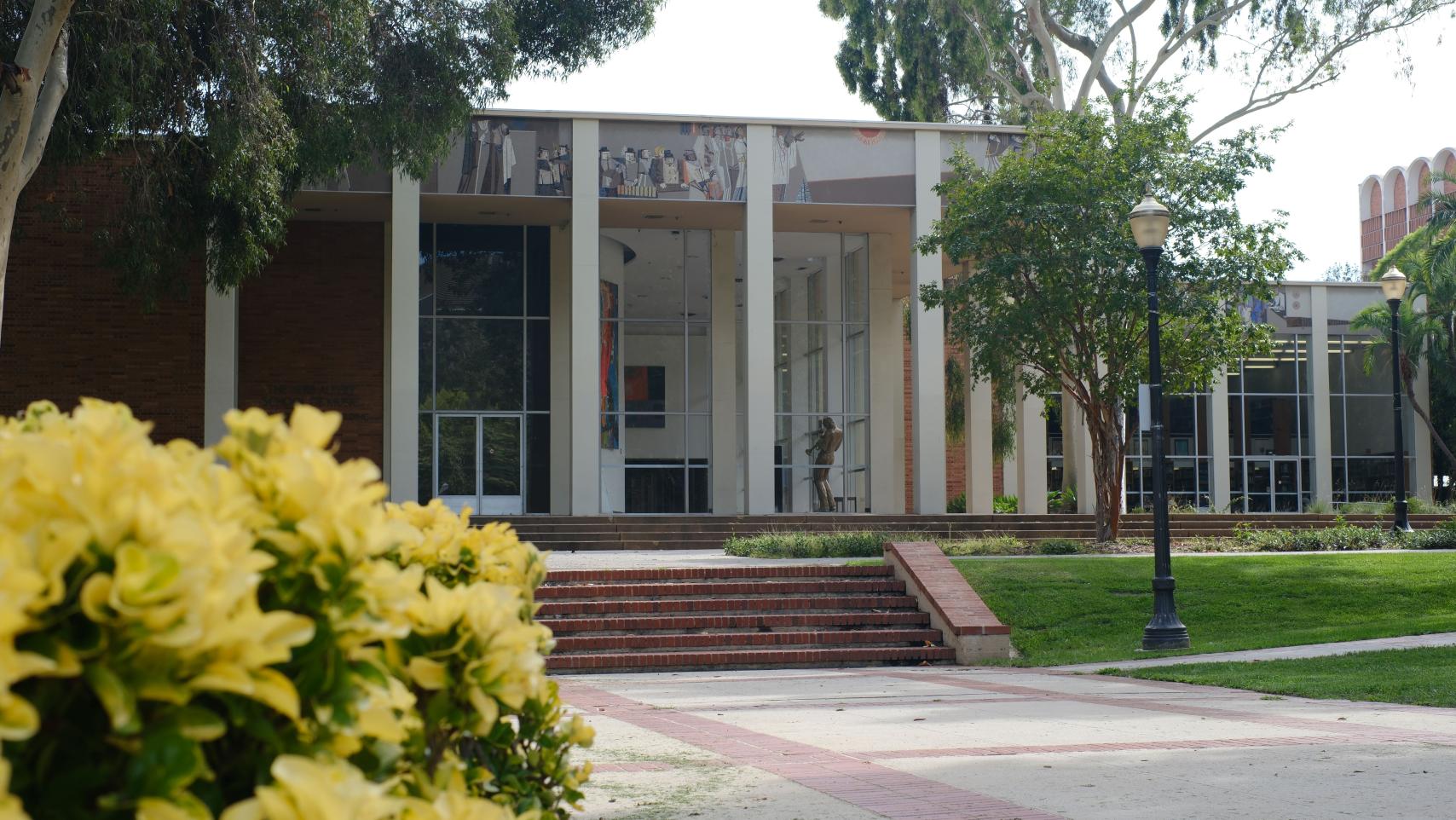 A bush with yellow and green leaves partially obscures the building with large windows in the background.