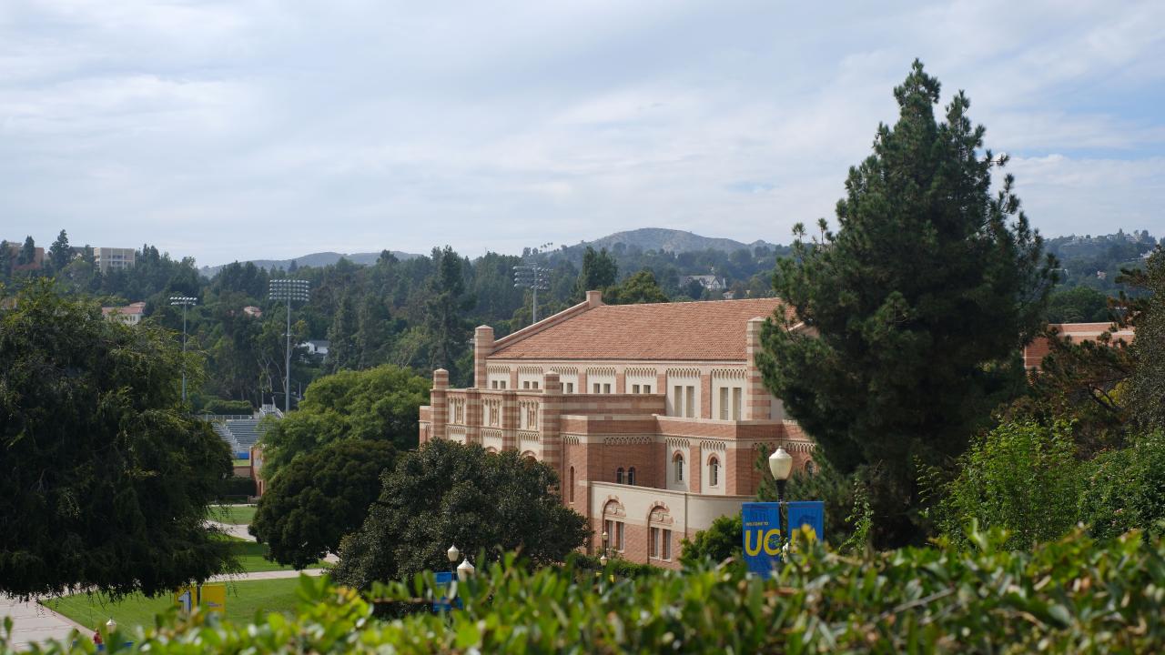 A large brick building obscured by green bushes and trees.
