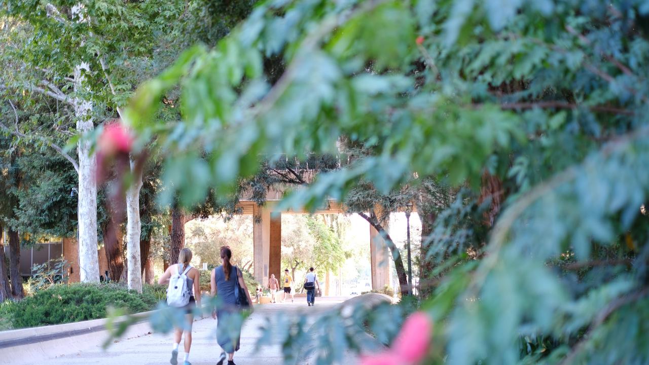 People walking on a walkway. Blurred leaves.