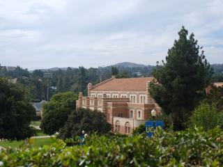 A large brick building obscured by green bushes and trees.