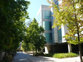 Tree lined walkway by UCLA Molecular Sciences Building.