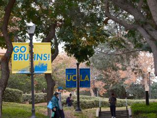 Students walk down a tree-lined path with “Go Bruins!” and “UCLA” flags attached to lampposts surrounding them. 