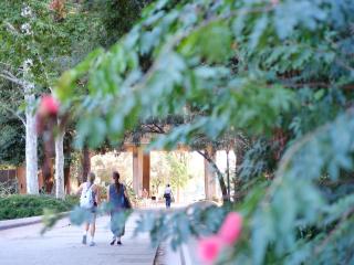 People walking on a walkway. Blurred leaves.